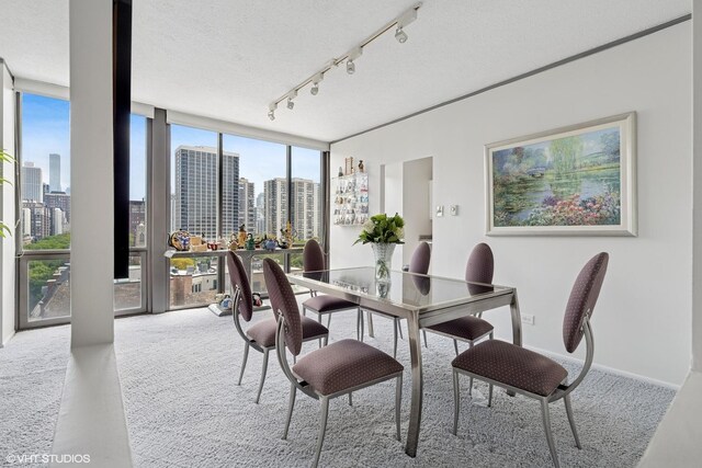 1530 N Dearborn Pkwy Unit 9S, Chicago, IL 60610 - dining room with a skyline view, carpet floors, a wall of windows, and track lighting