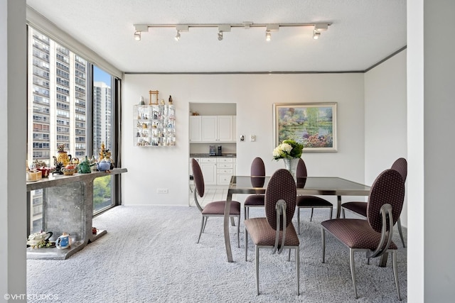 1530 N Dearborn Pkwy Unit 9S, Chicago, IL 60610 - dining space featuring light carpet and rail lighting