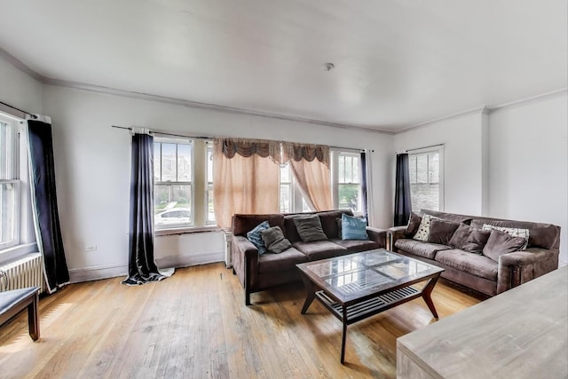 5042 W Wolfram St, Chicago, IL 60641 - living area featuring ornamental molding and light wood finished floors
