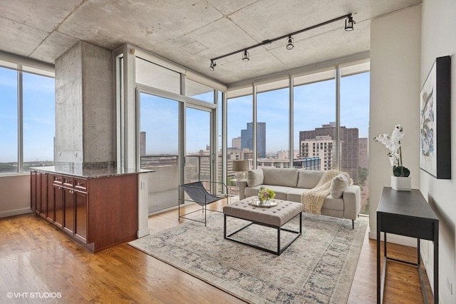 1720 S Michigan Ave Unit 1608, Chicago, IL 60616 - living area featuring expansive windows, rail lighting, light wood-type flooring, and a view of city