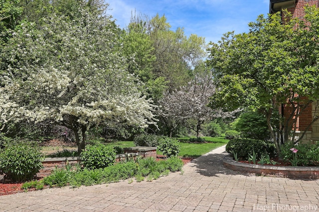 1400 Banbury Rd, Inverness, IL 60067 - view of patio / terrace