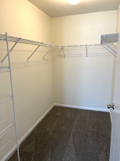 1013 Silverstone Dr Unit 1013, Carpentersville, IL 60110 - photo 13