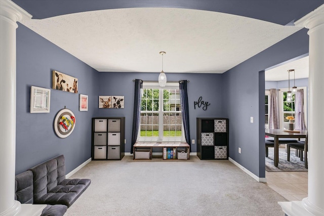 3905 Boulder Ridge Dr, Champaign, IL 61822 - sitting room featuring ornate columns, carpet floors, and a textured ceiling