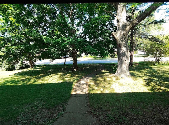 1206 University Dr, Dekalb, IL 60115 - photo 13
