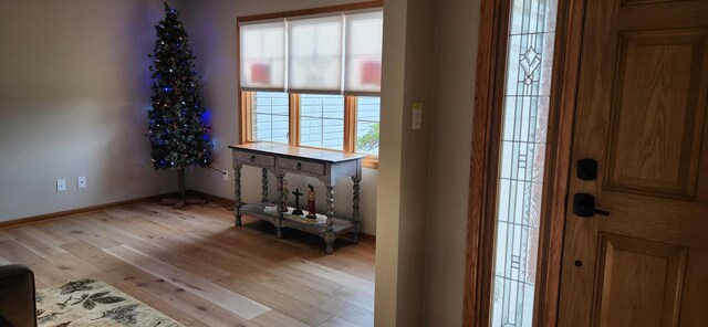 6638 Key Largo Dr, Machesney Park, IL 61103 - foyer featuring light wood-style floors and baseboards