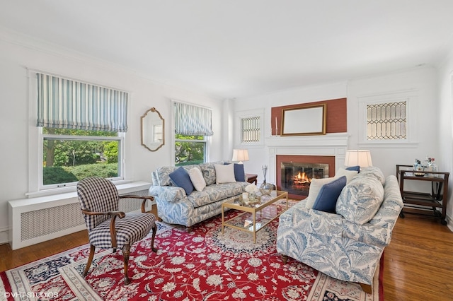 1241 Forest Ave, Wilmette, IL 60091 - living area featuring radiator heating unit, plenty of natural light, a glass covered fireplace, wood finished floors, and ornamental molding