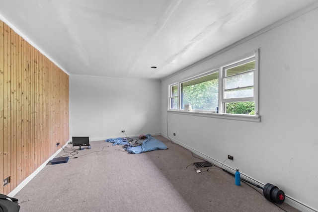 14217 Turner Ave, Robbins, IL 60472 - exercise area featuring wooden walls, baseboards, and carpet flooring