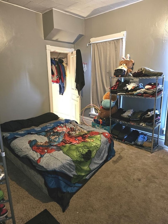 310 Hill Ave, Elgin, IL 60120 - bedroom with carpet