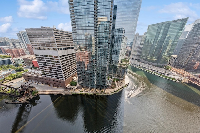 333 N Canal St Unit 2505, Chicago, IL 60606 - view of city featuring a nearby body of water
