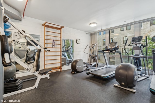 880 N Lake Shore Dr Unit 4E, Chicago, IL 60611 - workout area featuring concrete block wall
