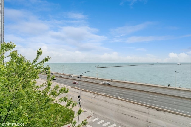 880 N Lake Shore Dr Unit 4E, Chicago, IL 60611 - water view