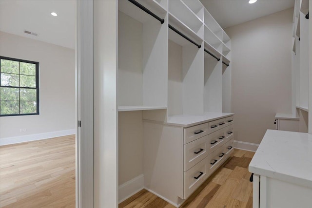 223 Center St, Naperville, IL 60540 - walk in closet with light wood-type flooring