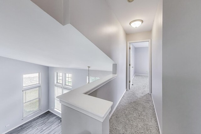 670 N Hastings Pl, Lindenhurst, IL 60046 - photo 12