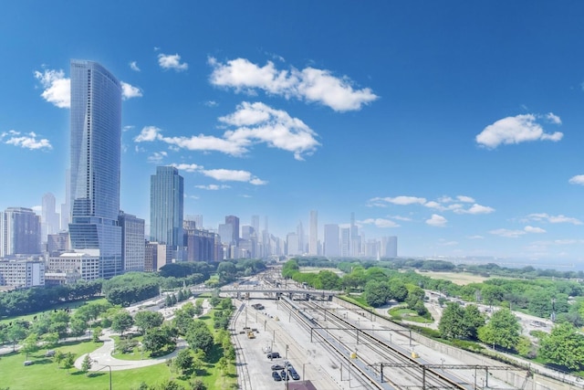 1211 S Prairie Ave Unit 1106, Chicago, IL 60605 - view of city skyline