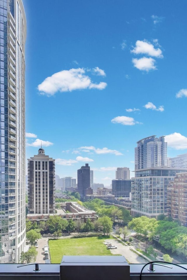 1211 S Prairie Ave Unit 1106, Chicago, IL 60605 - city view