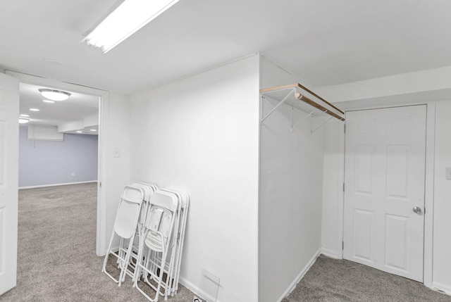 1205 N Irving Ave, Berkeley, IL 60163 - spacious closet with carpet flooring