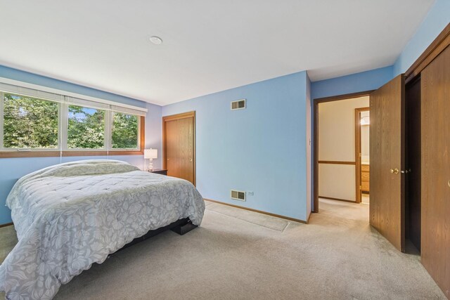 13040 W Tanglewood Cir, Palos Park, IL 60464 - bedroom featuring light carpet and a closet