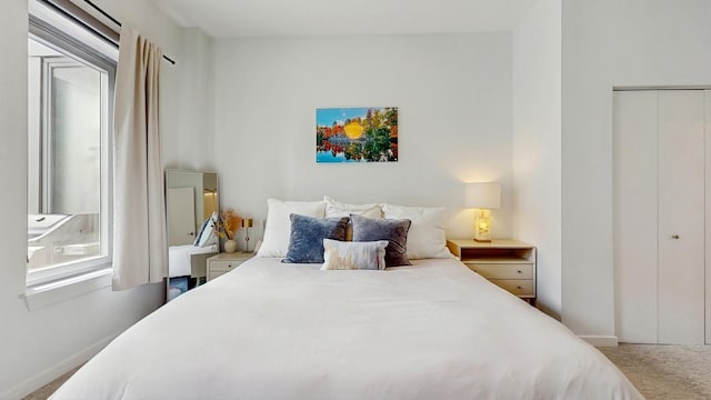 3920 N Sheridan Rd Unit 411, Chicago, IL 60613 - carpeted bedroom with baseboards and a closet