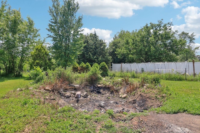 15807 W 139th St, Homer Glen, IL 60491 - view of yard