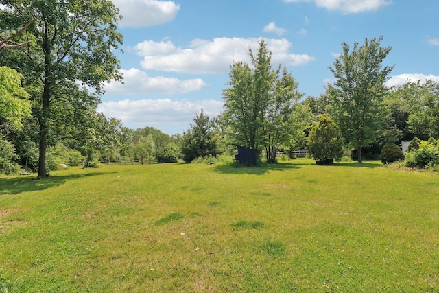 15807 W 139th St, Homer Glen, IL 60491 - view of green lawn