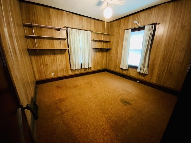 157 Prairie St, Ottawa, IL 61350 - spare room with wood walls, ceiling fan, carpet floors, and baseboards