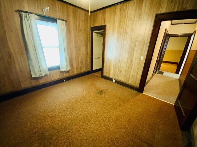 157 Prairie St, Ottawa, IL 61350 - spare room featuring wooden walls, carpet flooring, and baseboards