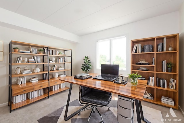 9146 W 140th St Unit 2Sw, Orland Park, IL 60462 - home office featuring carpet