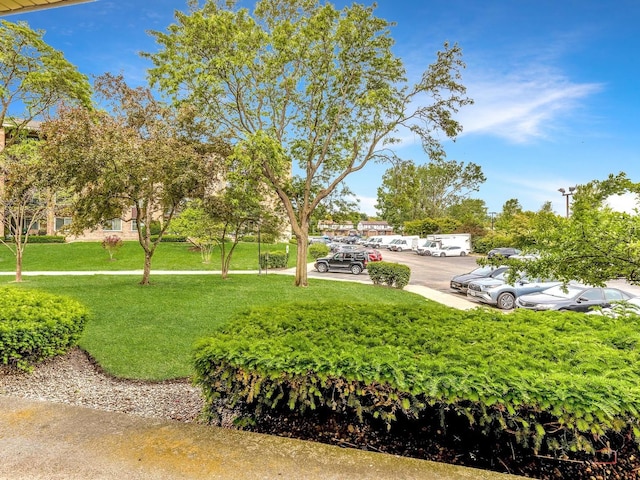 500 W Huntington Commons Rd Unit 150, Mount Prospect, IL 60056 - view of community with uncovered parking and a lawn