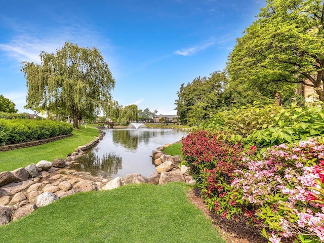 500 W Huntington Commons Rd Unit 150, Mount Prospect, IL 60056 - water view