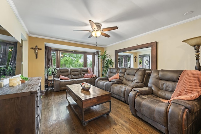 5520 S Kildare Ave, Chicago, IL 60629 - living area featuring ceiling fan, dark wood-type flooring, and ornamental molding