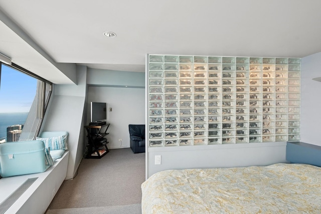 175 E Delaware Pl Unit 8305, Chicago, IL 60611 - bedroom featuring carpet floors