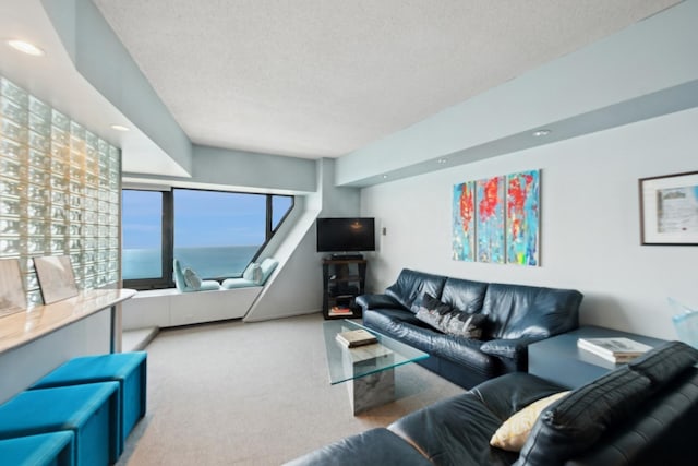 175 E Delaware Pl Unit 8305, Chicago, IL 60611 - carpeted living room with a textured ceiling