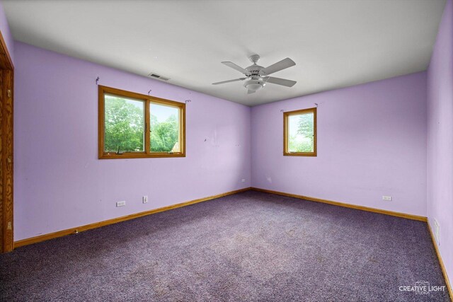 1325 E Lake Ave, Glenview, IL 60025 - unfurnished room with carpet floors and ceiling fan