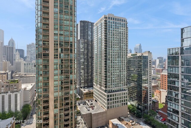 25 E Superior St Unit 2405, Chicago, IL 60611 - photo 12