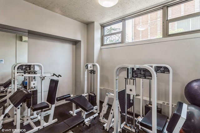 1550 N Lake Shore Dr Unit 32C, Chicago, IL 60610 - workout room with a wall mounted AC