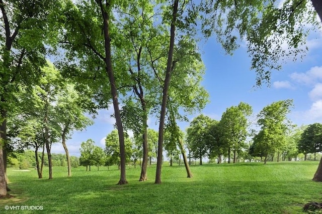 3104 Royal Fox Dr, Saint Charles, IL 60174 - view of home's community with a yard