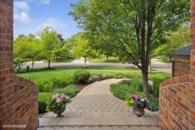 3104 Royal Fox Dr, Saint Charles, IL 60174 - view of green lawn