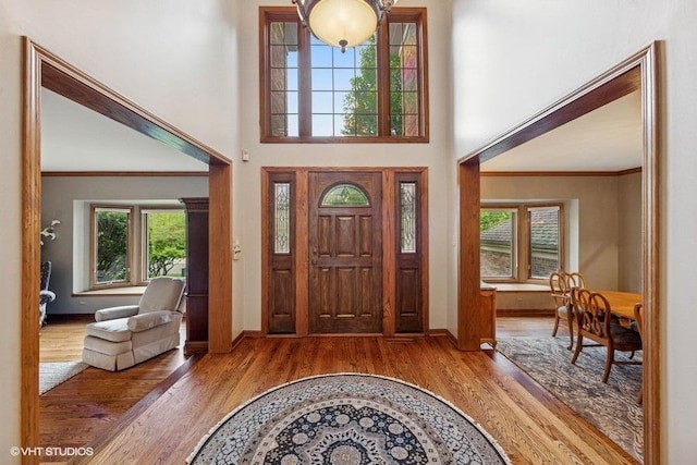 3104 Royal Fox Dr, Saint Charles, IL 60174 - entrance foyer featuring wood finished floors, plenty of natural light, ornamental molding, and a towering ceiling