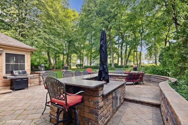 3104 Royal Fox Dr, Saint Charles, IL 60174 - view of patio / terrace with exterior kitchen, an outdoor fire pit, and view of scattered trees
