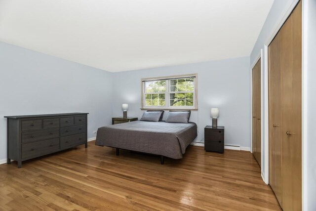 1145 Wincanton Dr, Deerfield, IL 60015 - bedroom with light wood finished floors, a closet, and baseboard heating