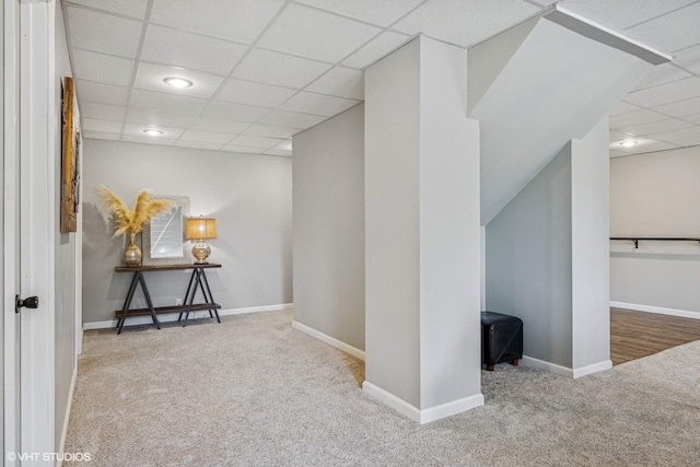 9520 Nicklaus Ln, Crystal Lake, IL 60014 - hall with carpet and a paneled ceiling