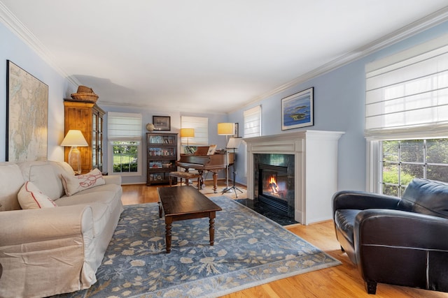 948A Shetland Dr, Frankfort, IL 60423 - living room with ornamental molding, healthy amount of natural light, a fireplace, and wood finished floors