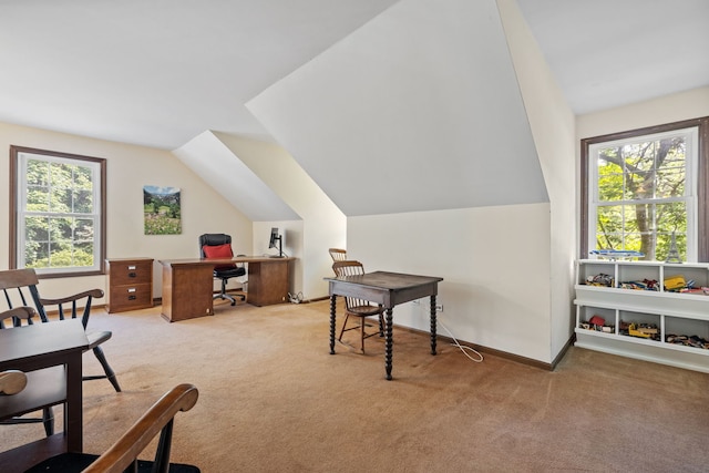 948A Shetland Dr, Frankfort, IL 60423 - office with light colored carpet, plenty of natural light, and lofted ceiling