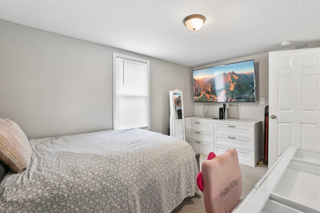 417 Dellwood Ave, Lockport, IL 60441 - bedroom featuring carpet