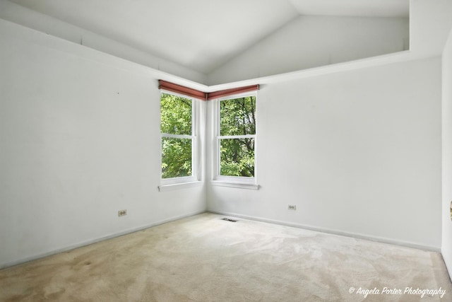 1193 Regent Dr, Mundelein, IL 60060 - photo 22