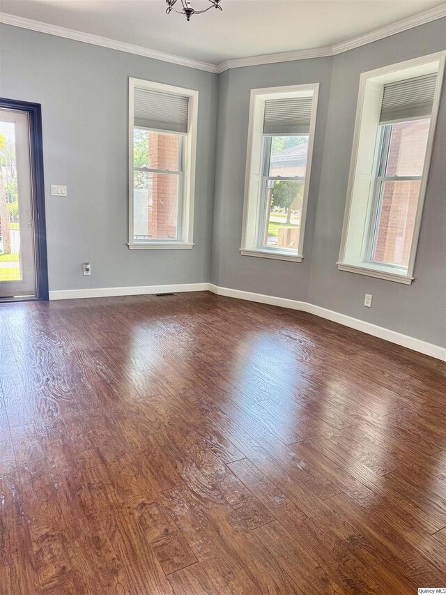 732 S 13th, Quincy, IL 62301 - empty room with dark wood-style floors, plenty of natural light, crown molding, and baseboards