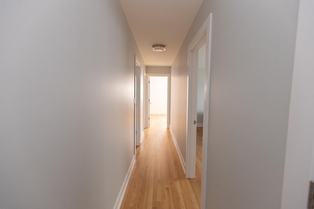3145 Hillside Ln, Darien, IL 60561 - hallway with light wood finished floors and baseboards