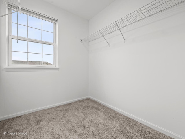 18506 Bellagio Cir, Tinley Park, IL 60477 - spacious closet featuring carpet flooring