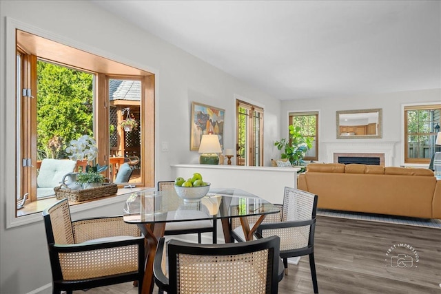 957 Whittington Dr, Geneva, IL 60134 - dining space with plenty of natural light, wood finished floors, and a fireplace