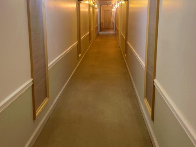 3427 Vollmer Rd Unit 108, Flossmoor, IL 60422 - corridor featuring a decorative wall and carpet floors